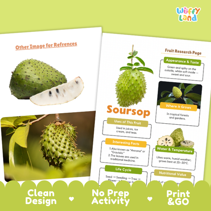 A printed soursop fruit reference sheet from Wiffy Land, showing labeled diagrams of the fruit, its uses, growth, water temperature, and nutritional value. The sheet is displayed on a light green background with decorative text banners at the bottom.