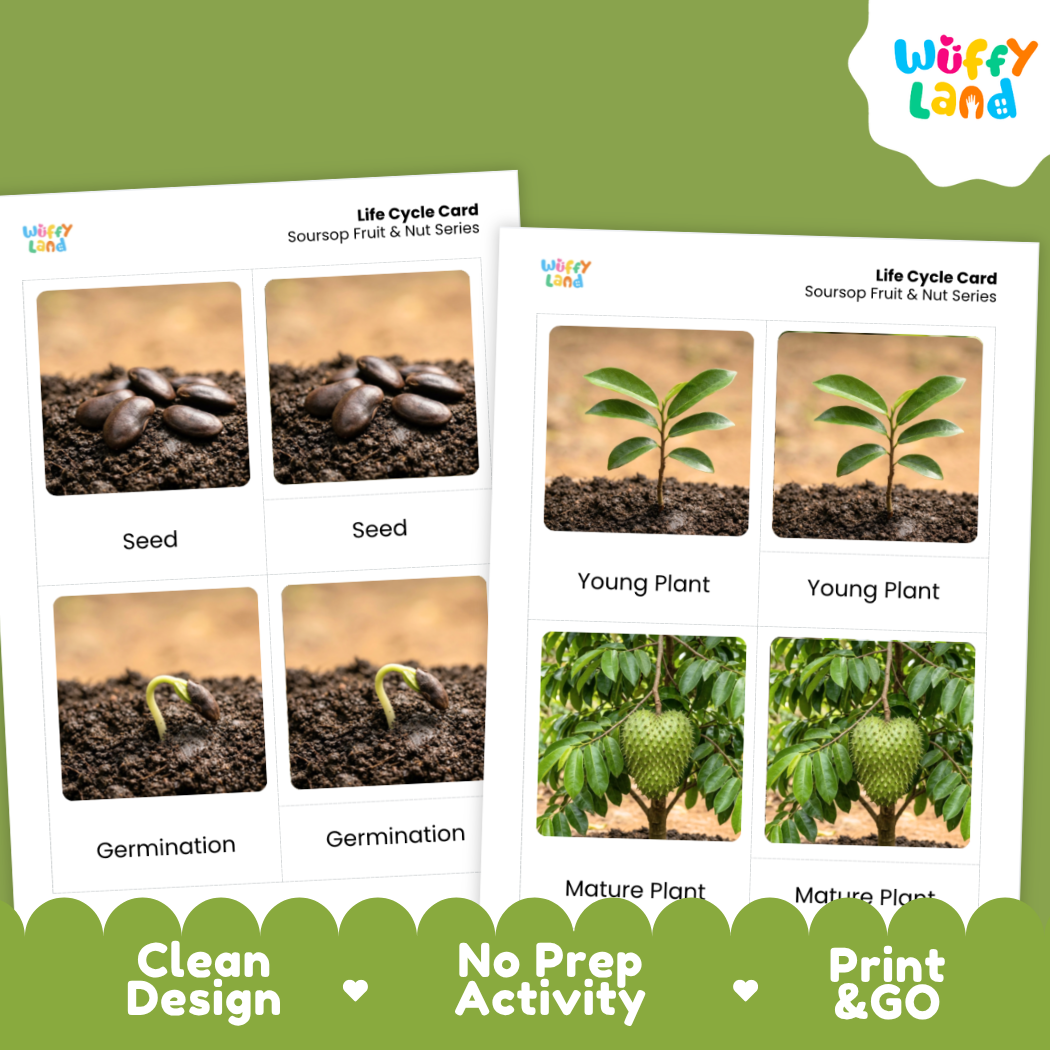Two printed life cycle cards for soursoap fruit and nut series shown on a green background. The cards show labeled photos of seeds, germination, young plant, and mature plant stages.