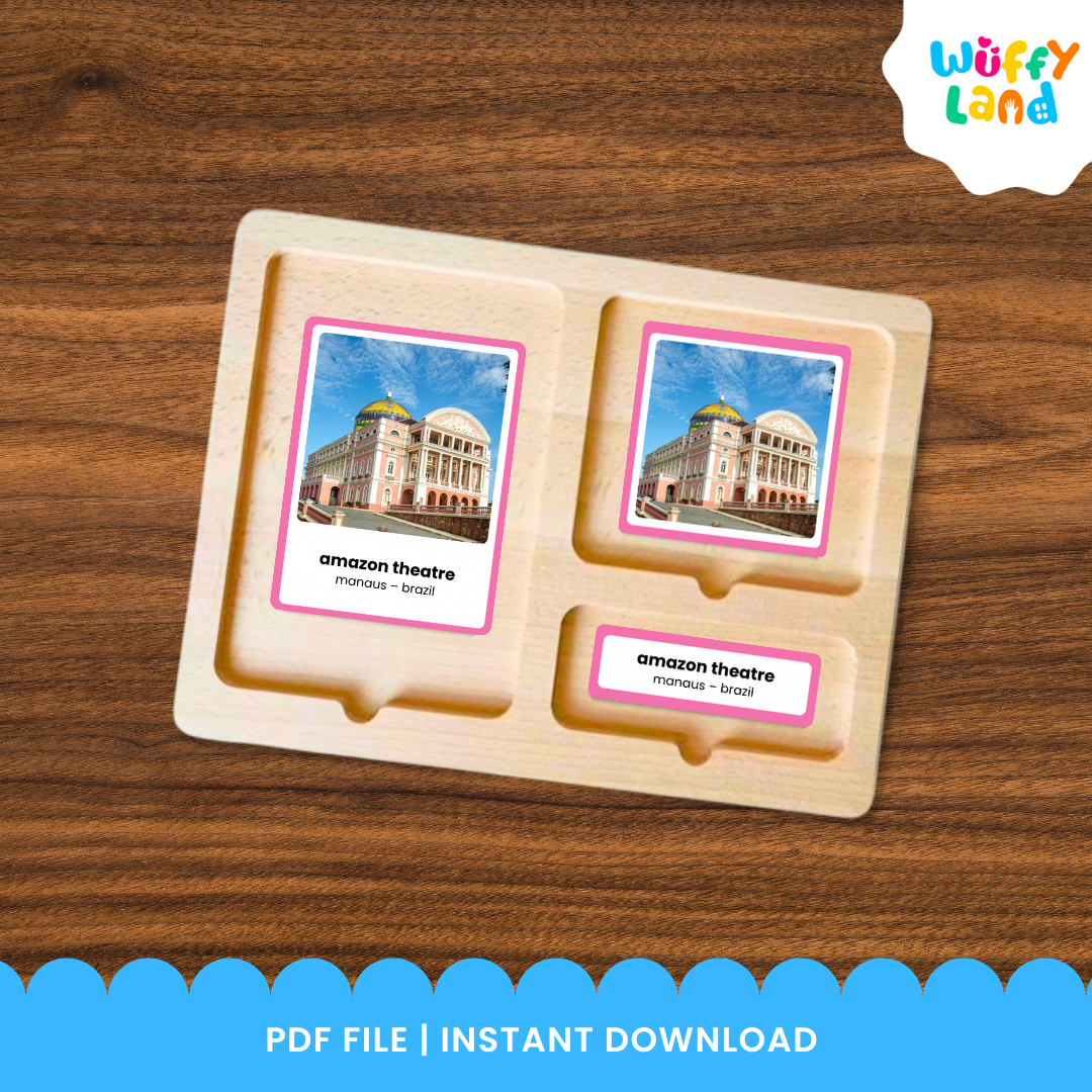Printable South America landmarks matching cards with picture cards, label cards and control cards for hands-on Montessori learning