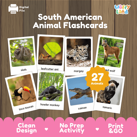 South American Animal Flashcards printable wildlife real photo activity pack overview from Wuffy Land featuring 27 animals 🌎🦥