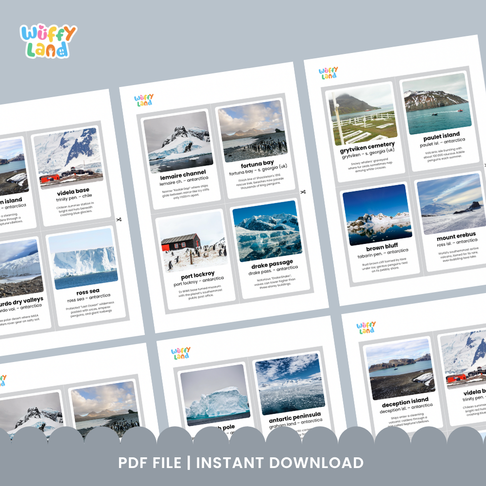 Flashcards featuring South Georgia, Whalers Church, Antarctic Peninsula, and Grytviken Station with fun facts