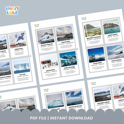Flashcards featuring South Georgia, Whalers Church, Antarctic Peninsula, and Grytviken Station with fun facts
