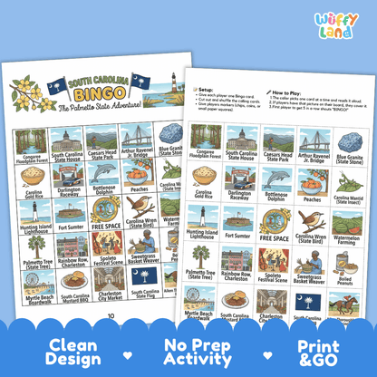 South Carolina Geography BINGO Game Palmetto State Activity Printable Boards