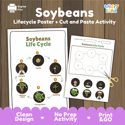 Soybeans Lifecycle Poster and Cut and Paste Activity Worksheets | Plant Science Printables