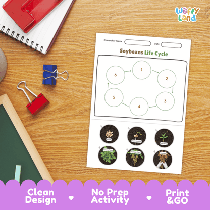 Soybeans Lifecycle Poster and Cut and Paste Activity Worksheets | Plant Science Printables