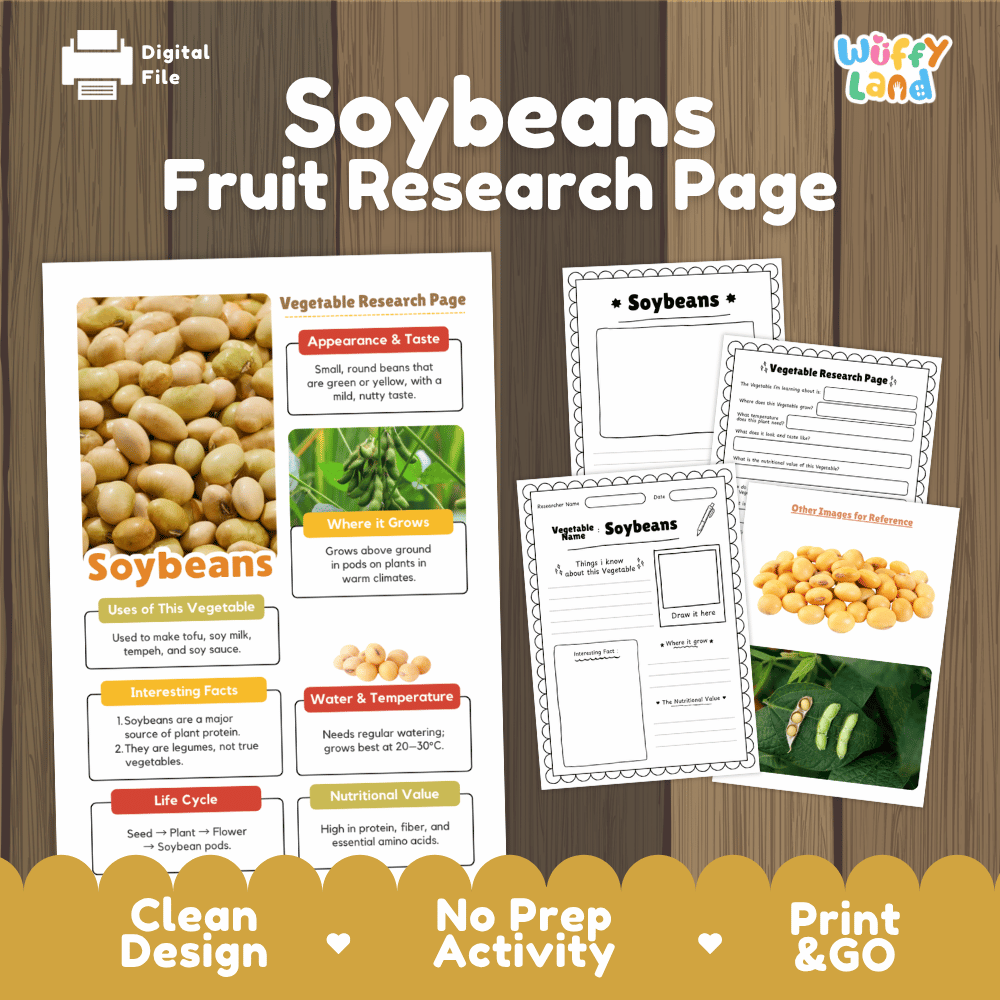 Soybeans Vegetable Research Worksheets and Informational Fact Sheets
