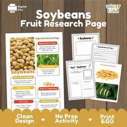 Soybeans Vegetable Research Worksheets and Informational Fact Sheets