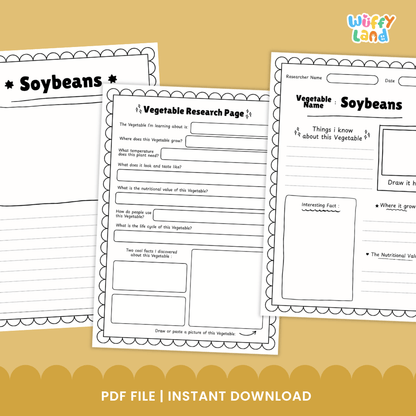 Soybeans Vegetable Research Worksheets and Informational Fact Sheets