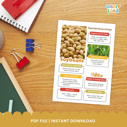 Soybeans Vegetable Research Worksheets and Informational Fact Sheets