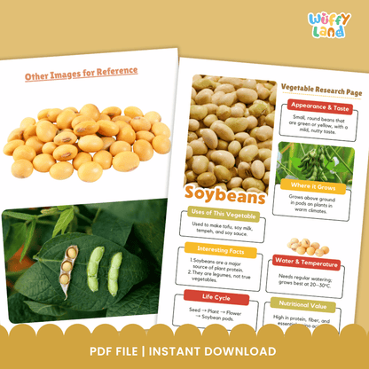 Soybeans Vegetable Research Worksheets and Informational Fact Sheets