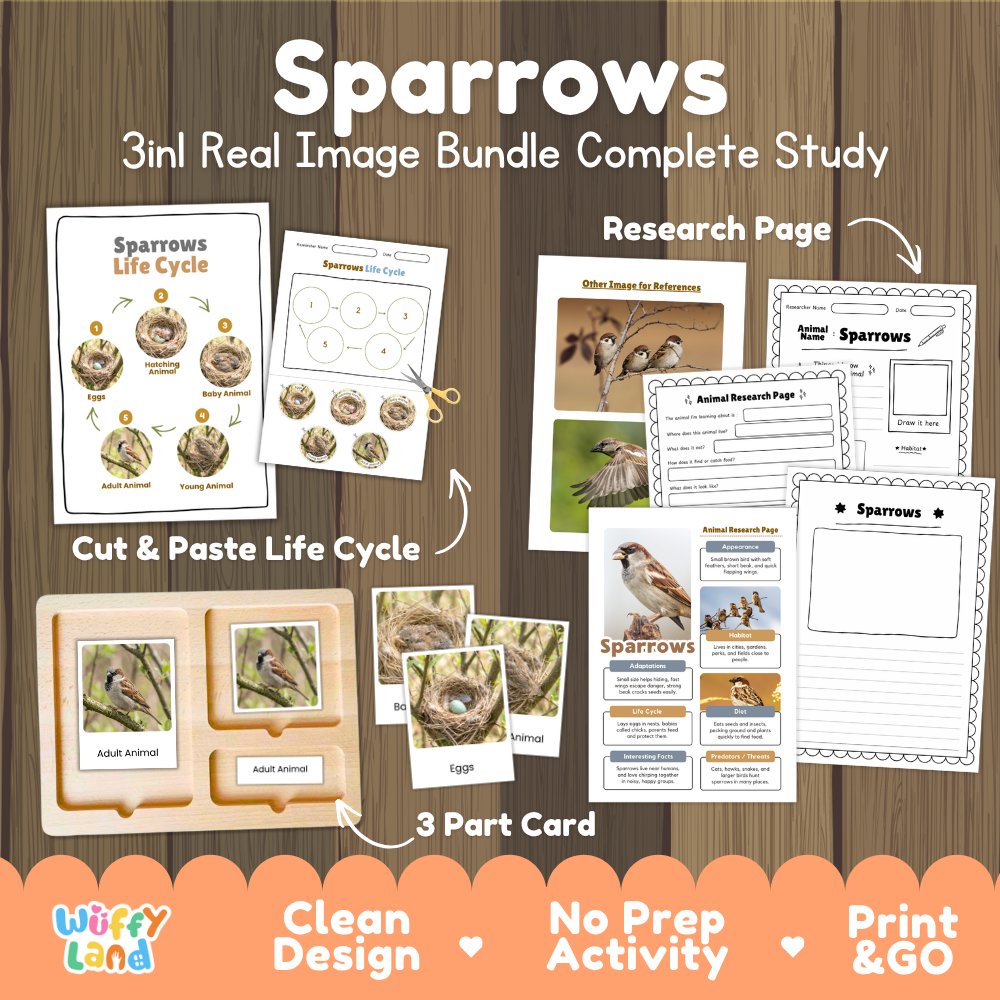 Sparrows 3-in-1 real image bundle complete study cover showing cut and paste life cycle, 3 part cards, and research pages