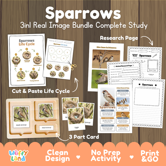 Sparrows 3-in-1 real image bundle complete study cover showing cut and paste life cycle, 3 part cards, and research pages