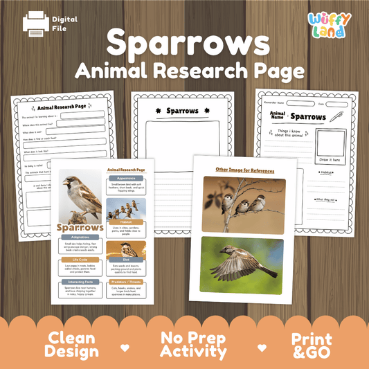 Sparrows Animal Research Page Worksheets and Fact Sheet