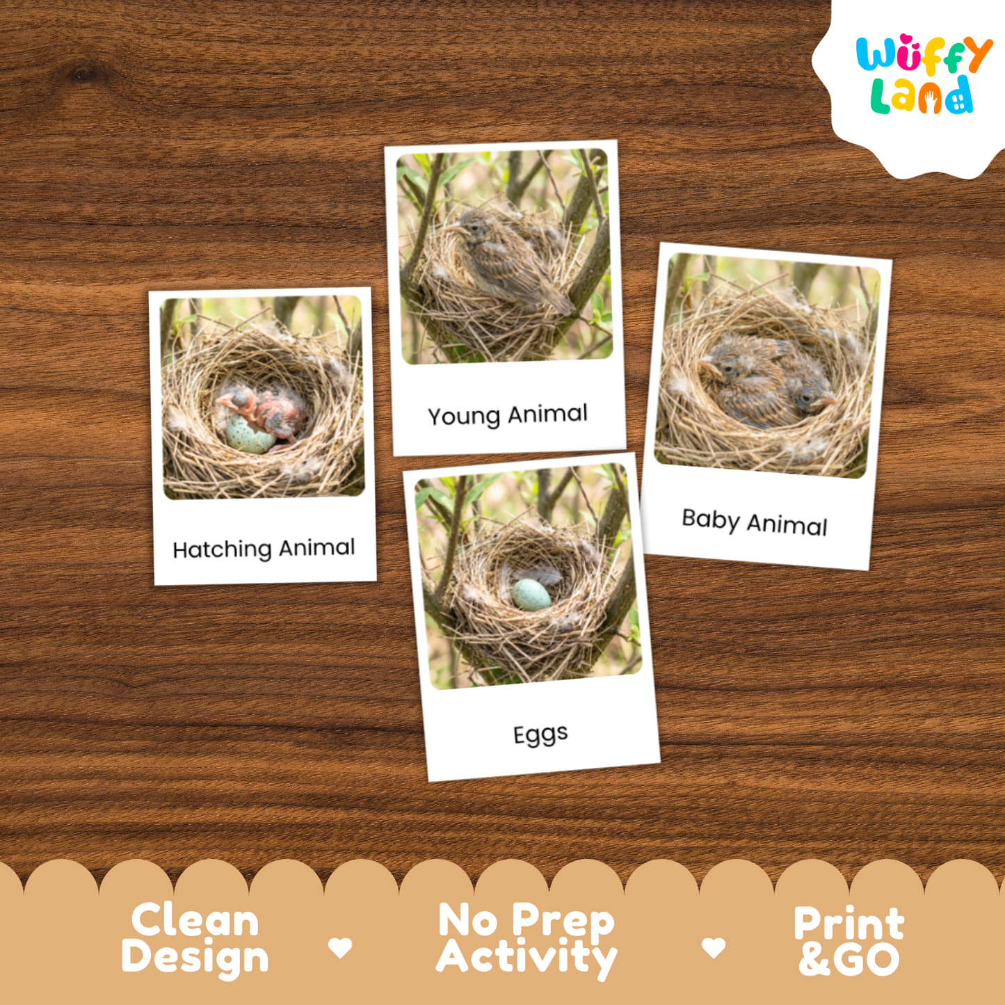 Four educational flashcards about animal nests and eggs are displayed on a brown wood-grain background. The cards feature images of bird nests with eggs and labels reading 'Hatching Animal', 'Young Animal', 'Baby Animal', and 'Eggs'.