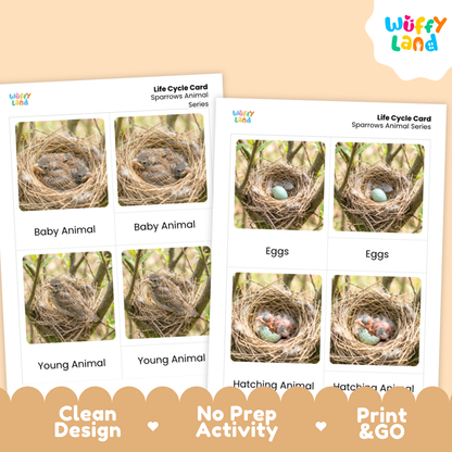 Two printed activity cards for a children's educational activity about animal life cycles, shown on a peach background with the Wüffly Land logo. The cards feature photos of bird nests, eggs, and young animals, with labels such as Baby Animal, Eggs, and Young Animal.