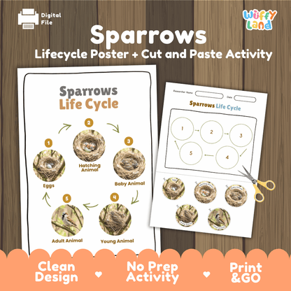 Sparrows Life Cycle Poster and Cut and Paste Worksheet Activity