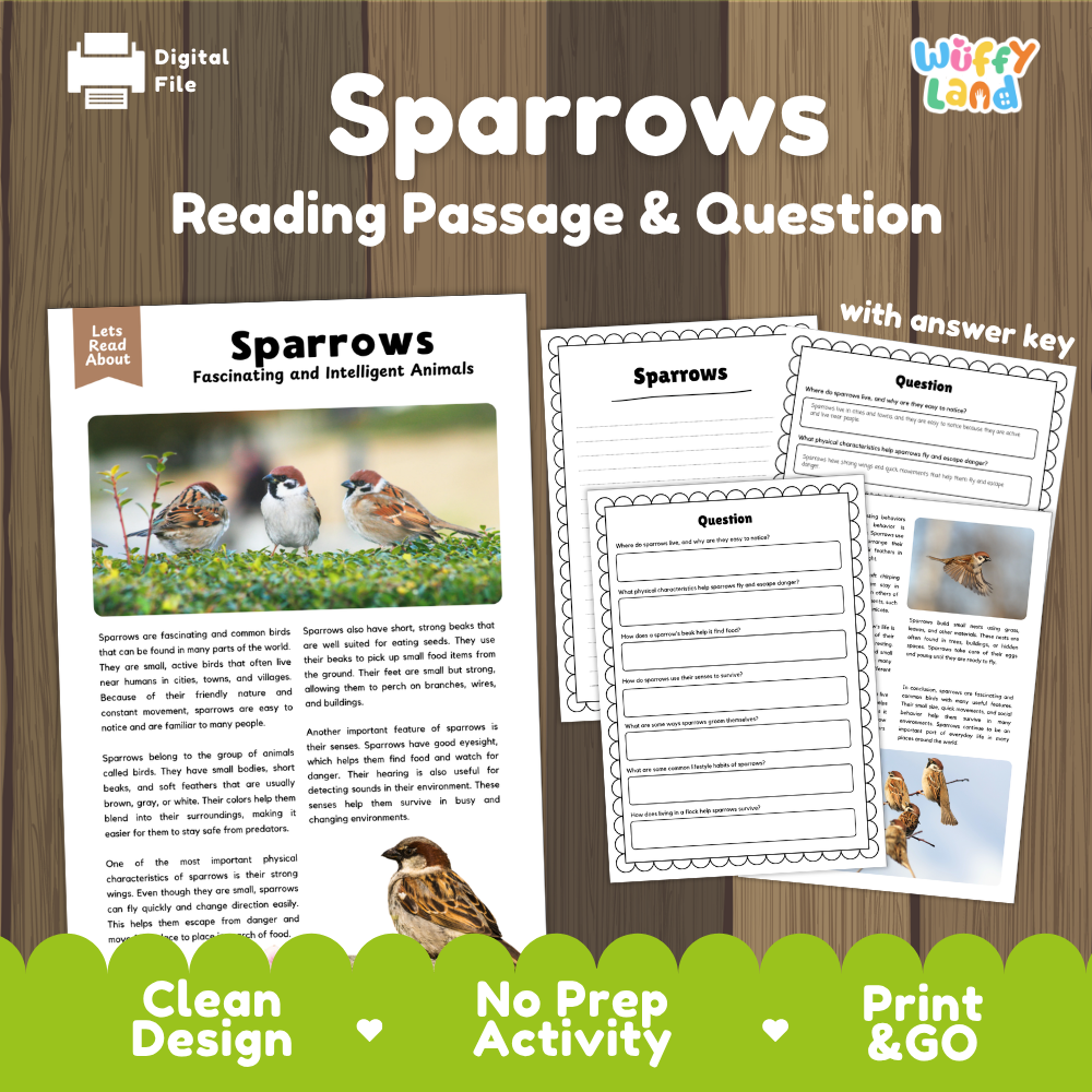 Sparrows Reading Passage and Comprehension Questions Worksheets with Answer Key