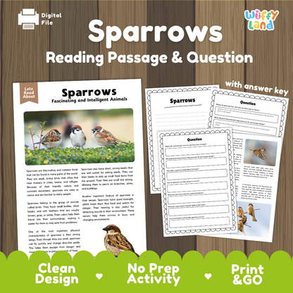 Sparrows Reading Passage and Comprehension Questions Worksheets with Answer Key
