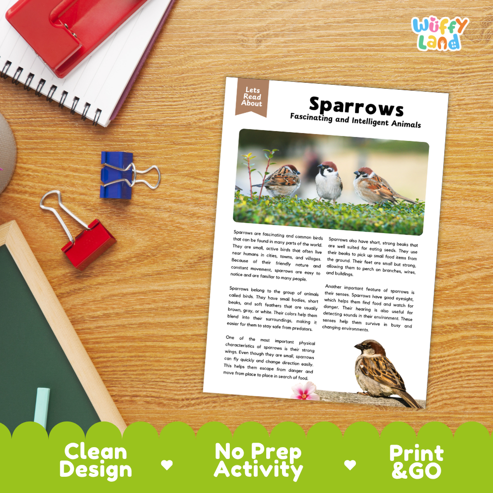 Sparrows Reading Passage and Comprehension Questions Worksheets with Answer Key