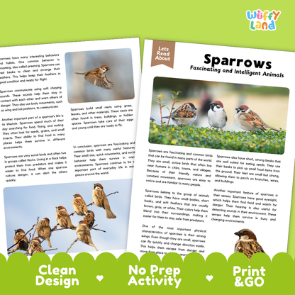Sparrows Reading Passage and Comprehension Questions Worksheets with Answer Key