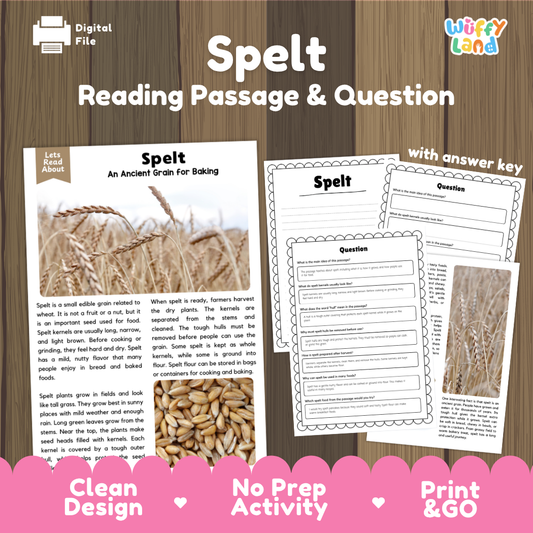 Spelt reading comprehension passage with nonfiction text, comprehension questions and answer key about the ancient grain, how it grows and how it is used