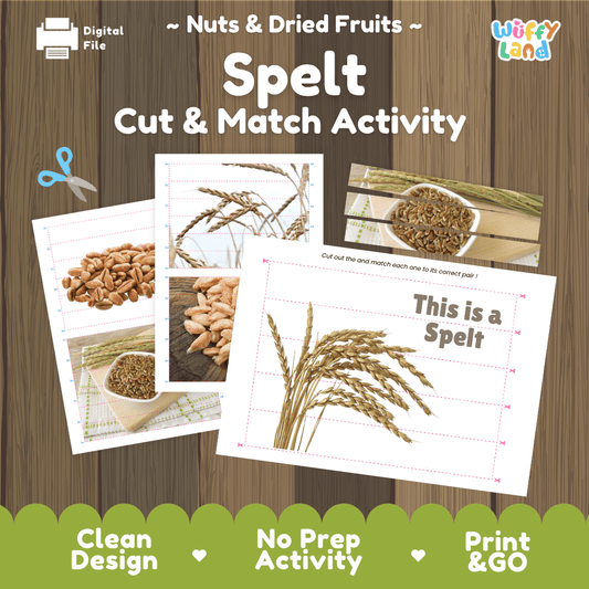 Spelt Cut and Match Activity Worksheets | Nuts and Dried Fruits Puzzle Printables