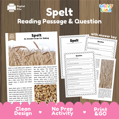 Spelt Reading Passage and Comprehension Questions Worksheets with Answer Key