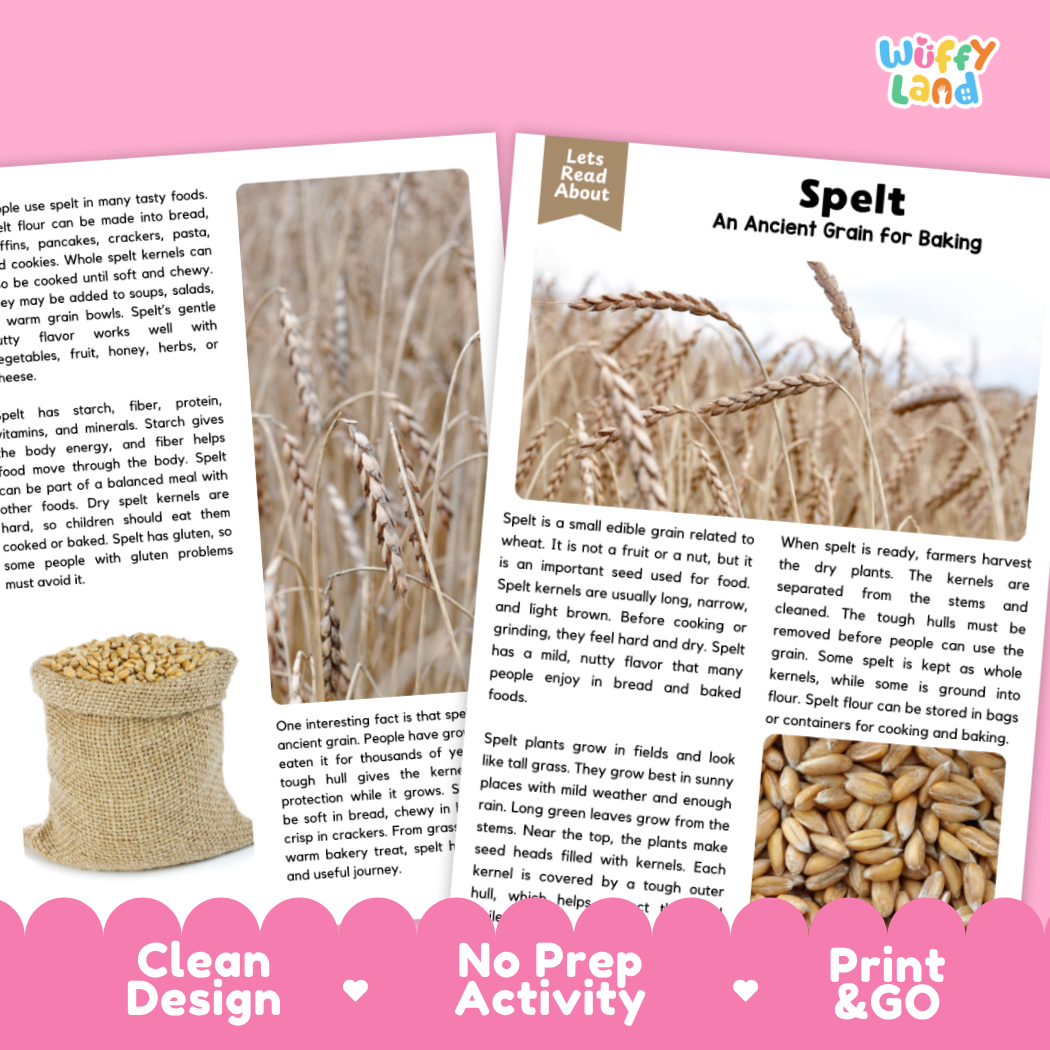 Spelt Reading Passage and Comprehension Questions Worksheets with Answer Key