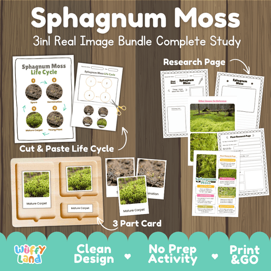 Sphagnum moss plant 3in1 real image bundle complete study printable featuring life cycle cut and paste worksheets, Montessori 3-part cards, and research pages