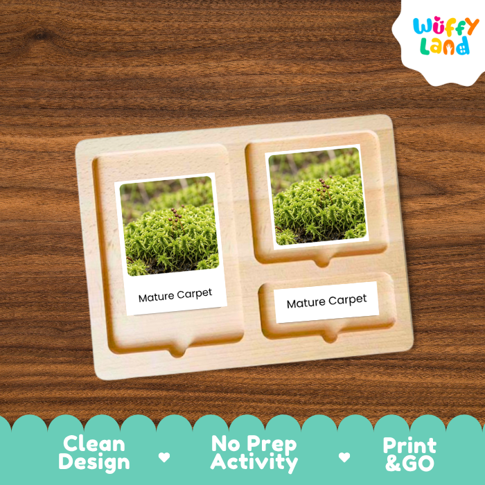 A wooden Montessori-style activity board with two photo slots showing green moss/carpet images and labels reading 'Mature Carpet,' placed on a wood-grain surface. A 'Wuffy Land' logo appears in the top right, and a teal promotional banner at the bottom lists product benefits.