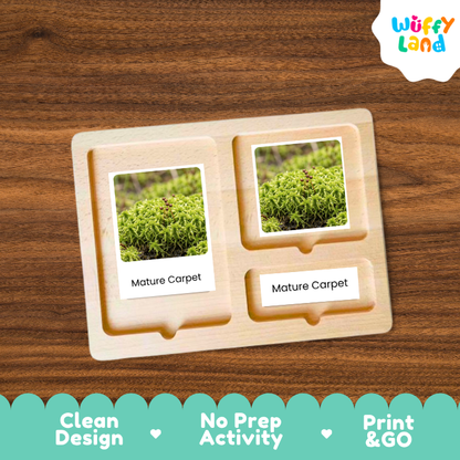 A wooden Montessori-style activity board with two photo slots showing green moss/carpet images and labels reading 'Mature Carpet,' placed on a wood-grain surface. A 'Wuffy Land' logo appears in the top right, and a teal promotional banner at the bottom lists product benefits.