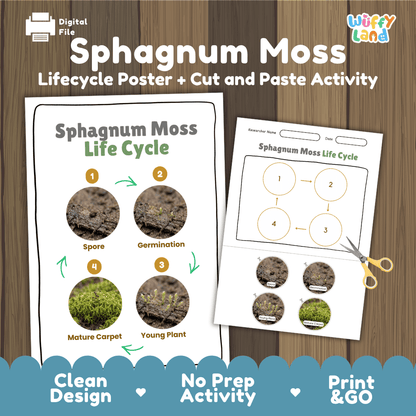 Sphagnum Moss Life Cycle Poster and Cut and Paste Activity Worksheets