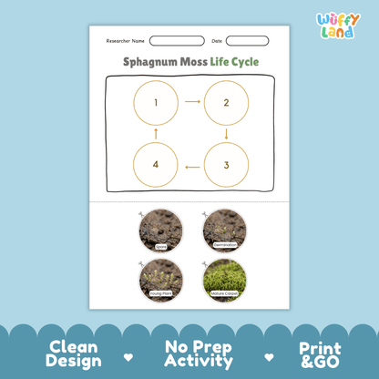Sphagnum Moss Life Cycle Poster and Cut and Paste Activity Worksheets