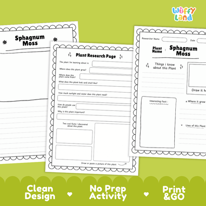 Sphagnum Moss Plant Research Pages and Worksheets