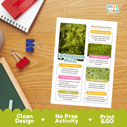 Sphagnum Moss Plant Research Pages and Worksheets