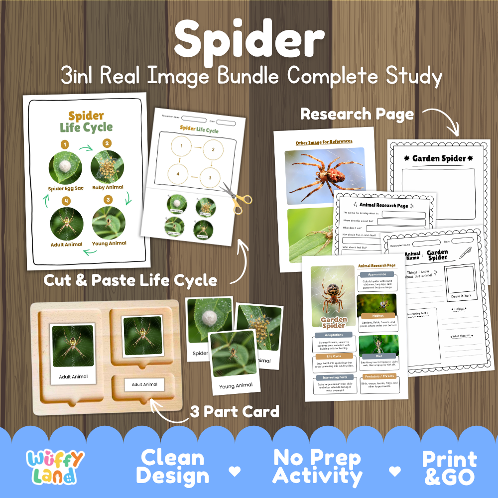 Spider 3-in-1 real image bundle complete study cover showing cut and paste life cycle, 3 part cards, and research pages