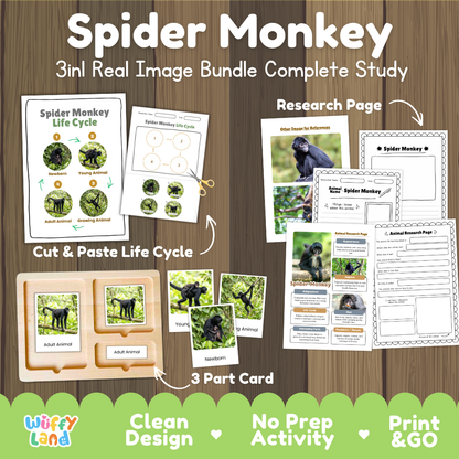 Spider monkey 3-in-1 real image bundle complete study cover showing cut and paste life cycle, 3 part cards, and research pages