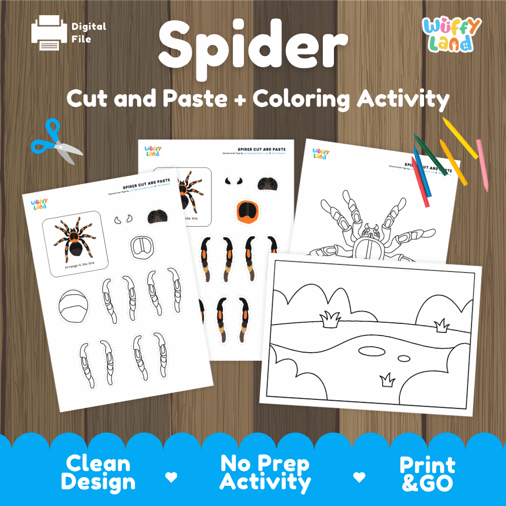 Spider Cut and Paste Craft and Coloring Activity Worksheets