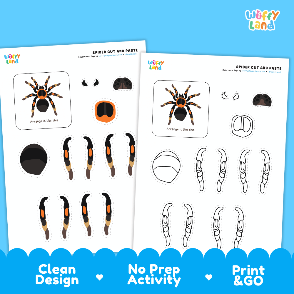 Spider Cut and Paste Craft and Coloring Activity Worksheets