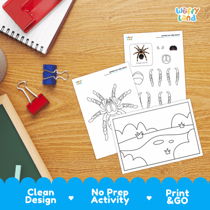 Spider Cut and Paste Craft and Coloring Activity Worksheets