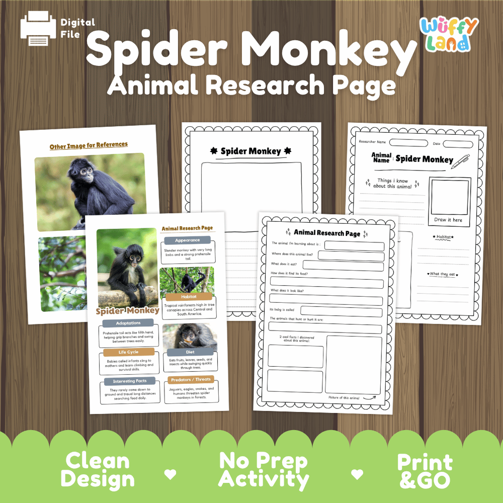 Spider Monkey Animal Research Worksheets and Informational Fact Sheets