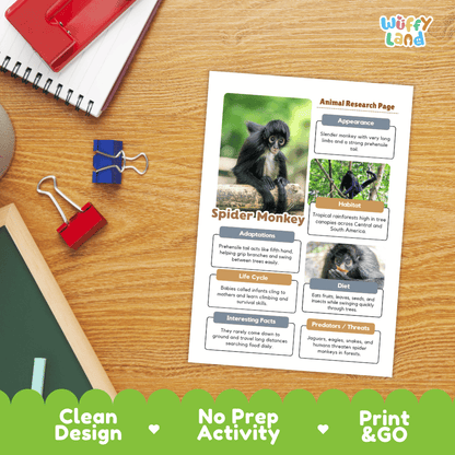 Spider Monkey Animal Research Worksheets and Informational Fact Sheets