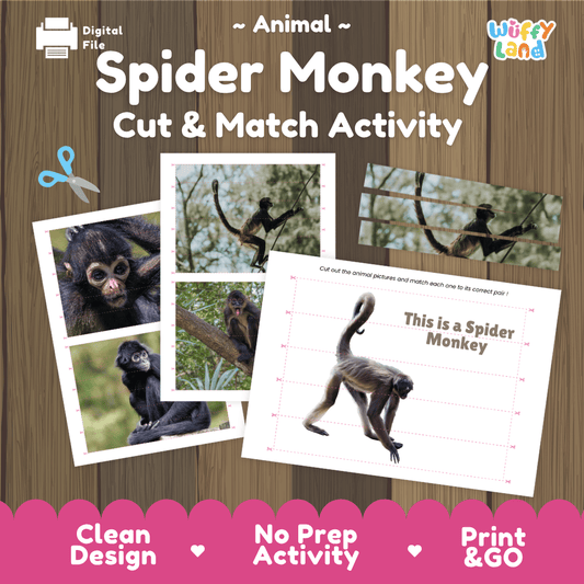 Spider Monkey Cut and Match Activity Worksheets | Animal Puzzle Printables