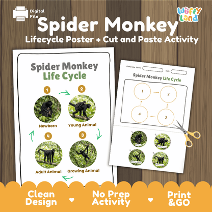 Spider Monkey Life Cycle Poster and Cut and Paste Activity Worksheets