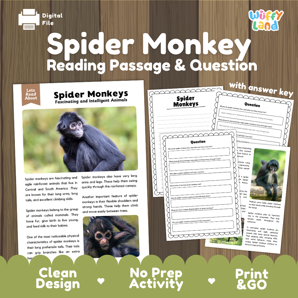 Spider Monkey Reading Passage and Comprehension Questions Worksheets with Answer Key
