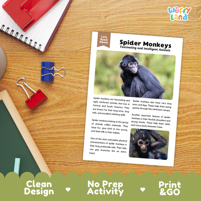 Spider Monkey Reading Passage and Comprehension Questions Worksheets with Answer Key