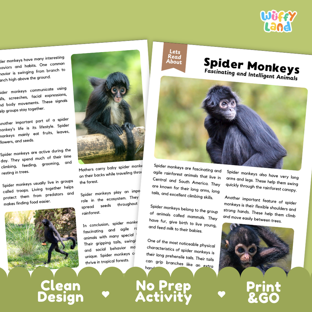 Spider Monkey Reading Passage and Comprehension Questions Worksheets with Answer Key