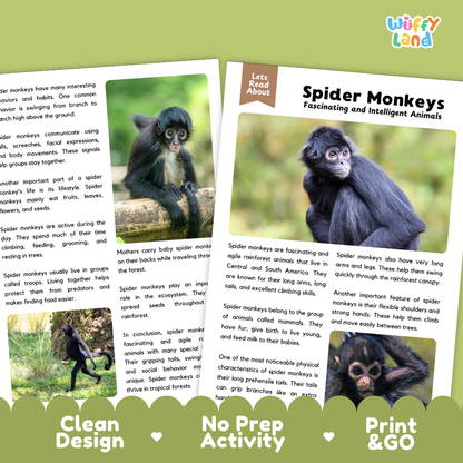 Spider Monkey Reading Passage and Comprehension Questions Worksheets with Answer Key
