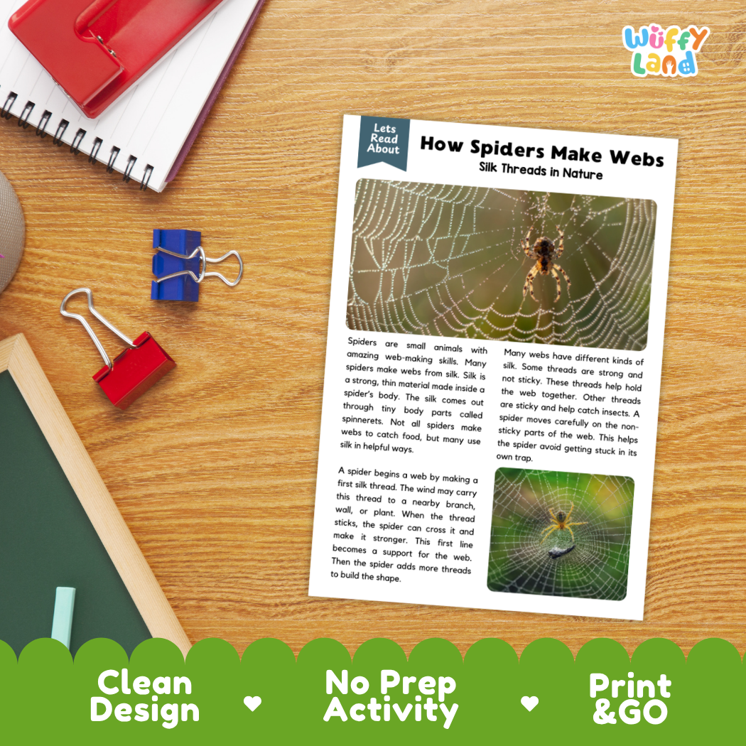 Printable student worksheet with short-answer reading comprehension questions covering spider webs and science