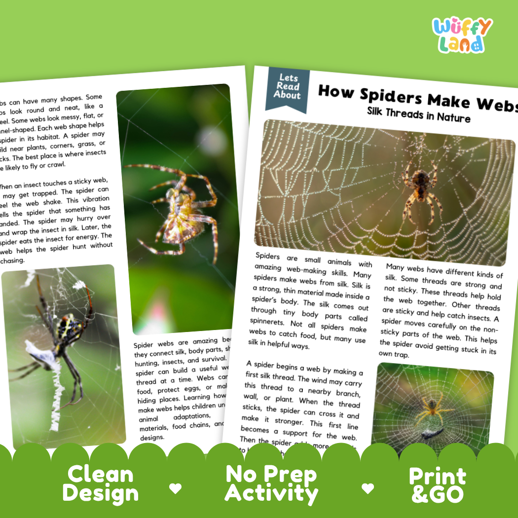 Complete teacher answer key worksheet providing detailed model responses for spider web comprehension questions